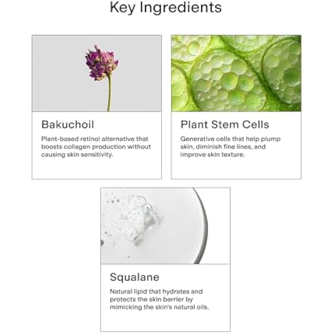 CLEARstem - HYDRAGLOW STEM CELL MOISTURIZER - BAKUCHIOL + SQUALENE - YOUTHFUL SKIN FACE MOISTURIZER - ALL SKIN TYPES - FACIAL SKIN CARE PRODUCTS - VEGAN, GLUTEN FREE, CRUELTY FREE - 2 FL OZ / 60ML - Image 4